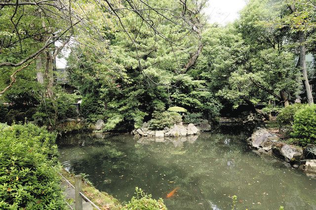 鷗外の旧居を復元する候補地となっている林＝文京区の根津神社