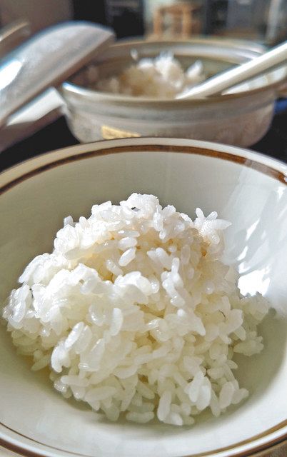 千葉米 白米 中粒 袋込11キロくらい
