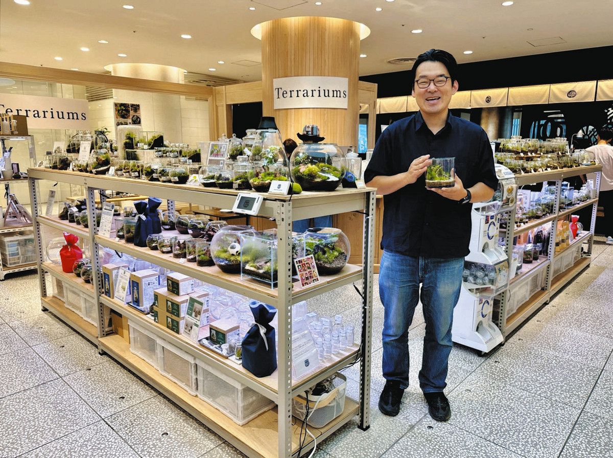 専門店みっけ＞苔テラリウム Terrariums（テラリウムス） ガラス瓶の中 