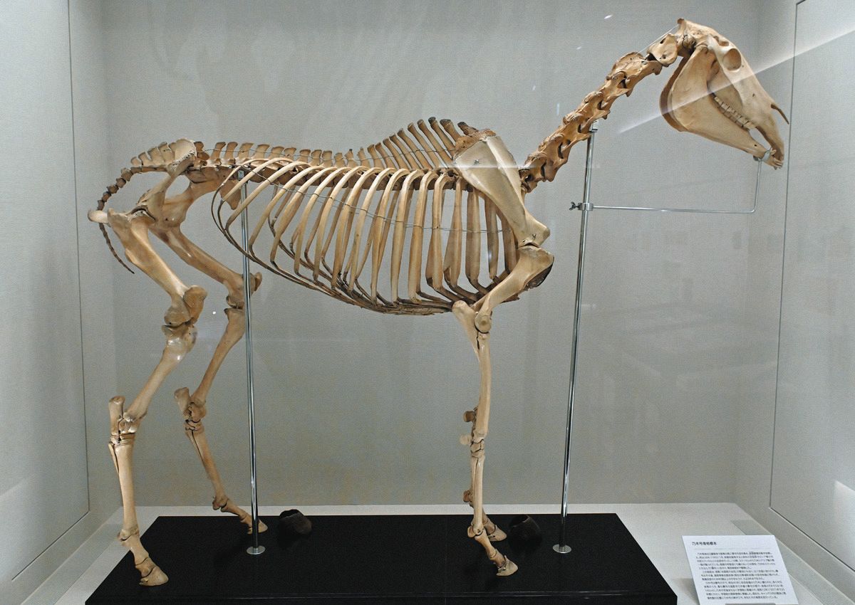 旧華族家史料所在調査報告書　全5巻　学習院大学史料館 旧華族家史料所在調査報告書 全5巻 学習院大学史料館 旧