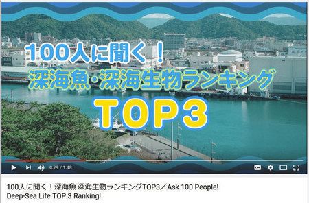 駿河湾の深海魚をｐｒ 沼津市 動画サイトで公開 東京新聞 Tokyo Web