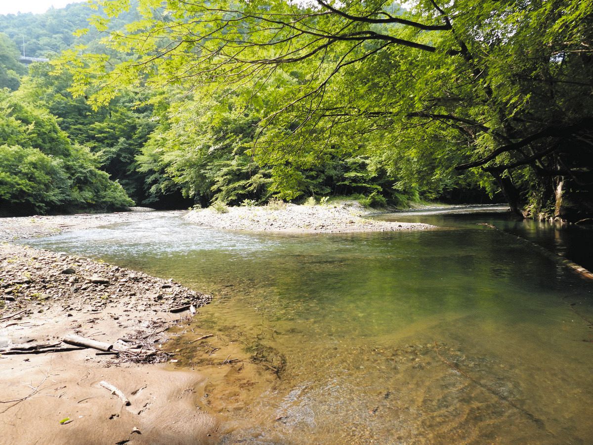 八ッ場ダムの今と過去の歩み年表｜激動の半世紀から人気観光地への全貌