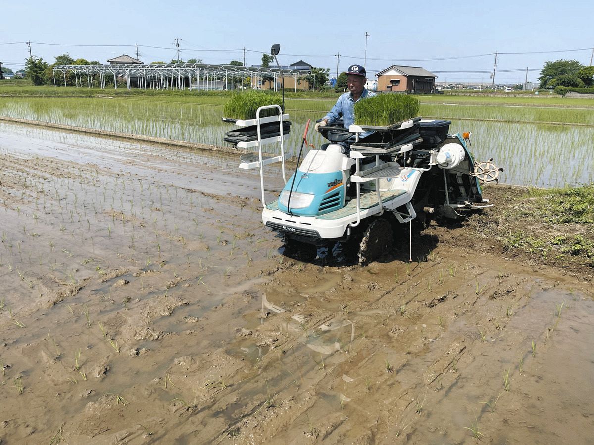 農協に頼らない」“億超え”農家がコメ不足に語ったホンネ「流通の