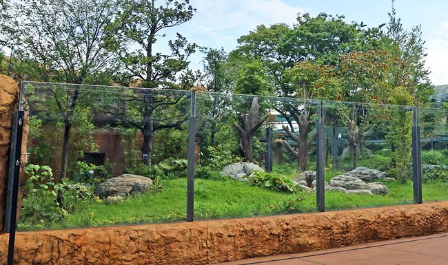 パンダのもり 東京新聞 Tokyo Web