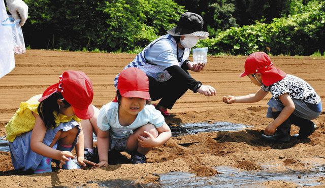 落花生の豆まき 神崎町の保育園児楽しむ 東京新聞 Tokyo Web