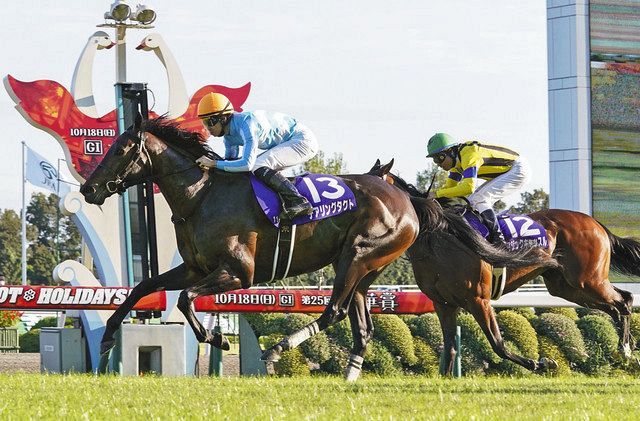 小さな牧場からシンデレラストーリー デアリングタクトが史上初 無敗で牝馬３冠 東京新聞 Tokyo Web