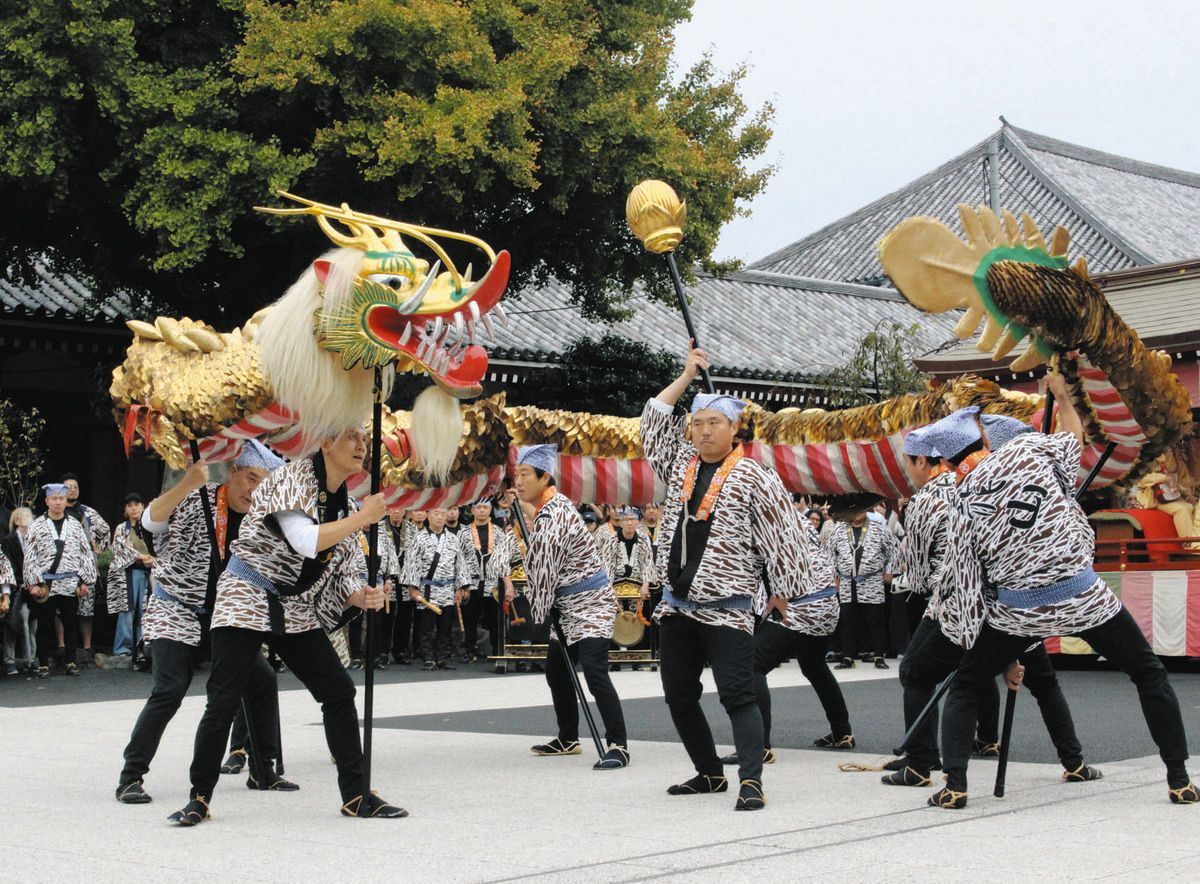 境内を力強く舞う金龍＝東京都台東区浅草の浅草寺で