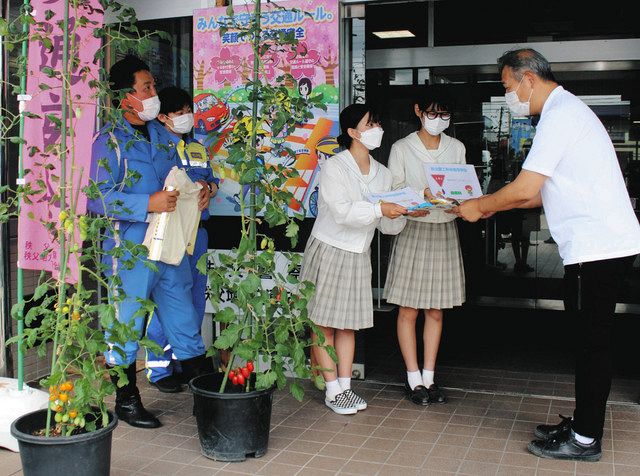 トマトで 止まっとね 秩父農工科学高校の生徒ら 交通安全 呼びかけ 東京新聞 Tokyo Web