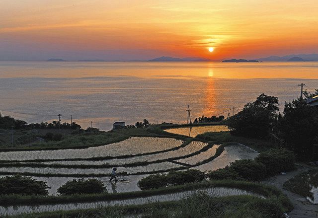 絶景を行く 特別編 光の道 揺らめいて 夕映えの瀬戸内と棚田 愛媛県伊予市 東京新聞 Tokyo Web