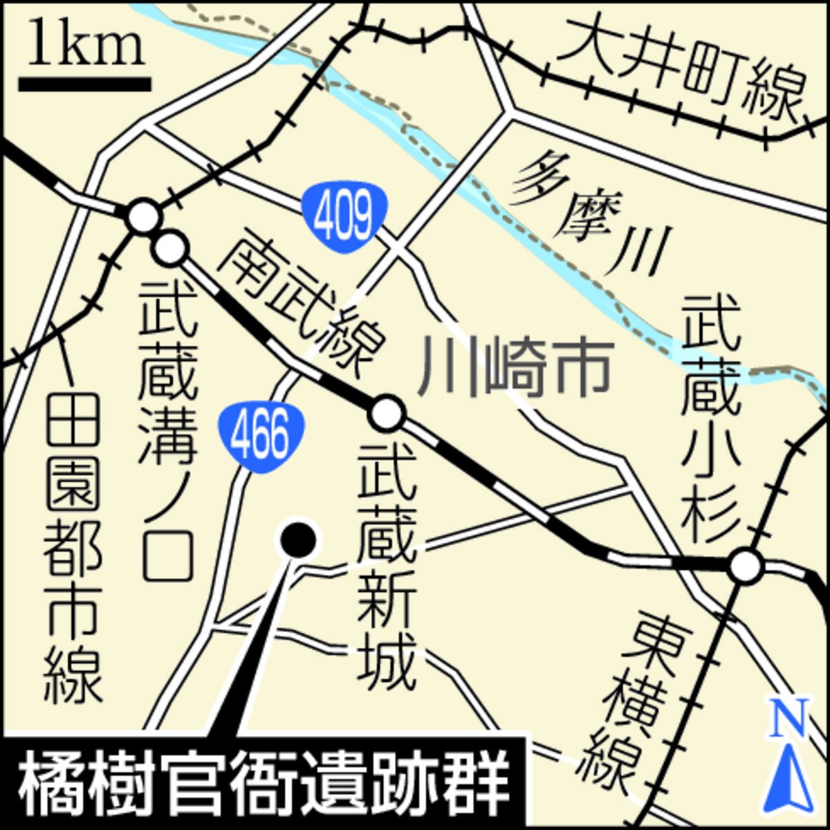 飛鳥時代の「倉庫」全国初の復元進む…川崎の橘樹官衙遺跡群 2024年5月 