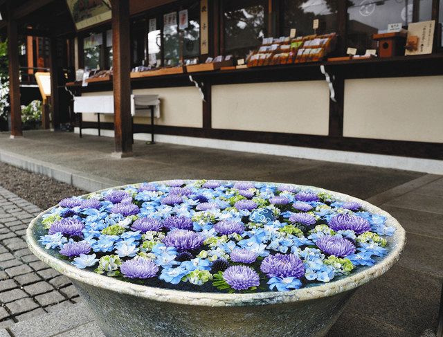 行田 彩る花手水の輪 インスタで人気 観光客呼び込む 季節の花でリピーターも 東京新聞 Tokyo Web