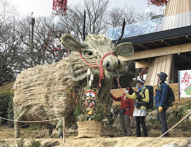 来年の干支 丑 ビッグに登場 掛川 粟ケ岳山頂 茶草５００キロ使用 東京新聞 Tokyo Web