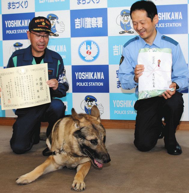 分で不明生徒発見 警察犬フレイル号お手柄 吉川署 東京新聞 Tokyo Web