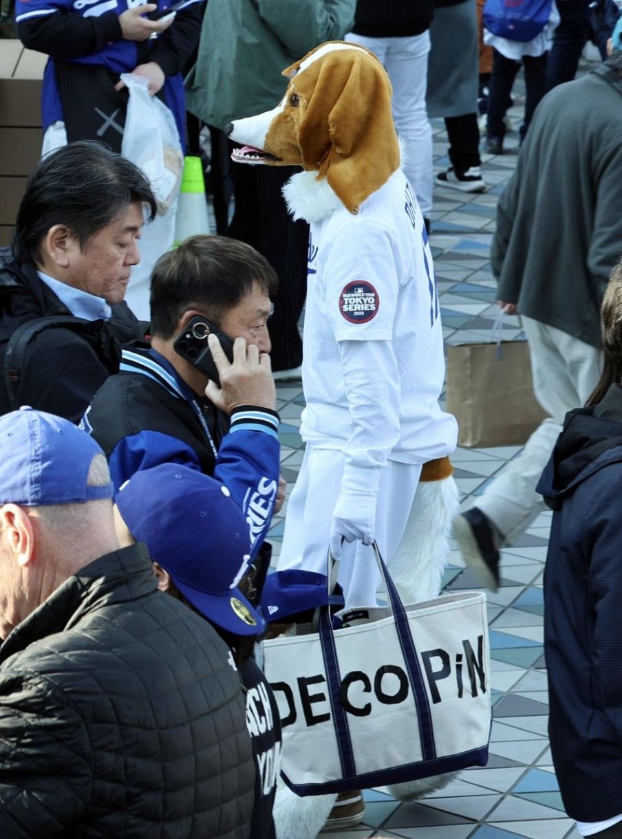 大谷翔平MLBTOUR東京ドームMLB開幕戦使用公認球ローリングスボール