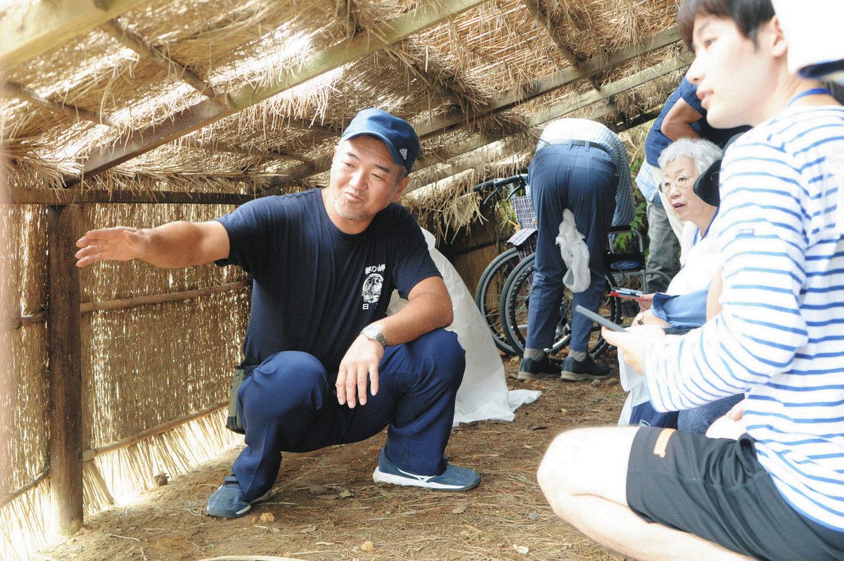 求む！ウミウ捕獲技術保持者 「全国の鵜飼支えて」日立の市観光物産協が初の公募：東京新聞デジタル