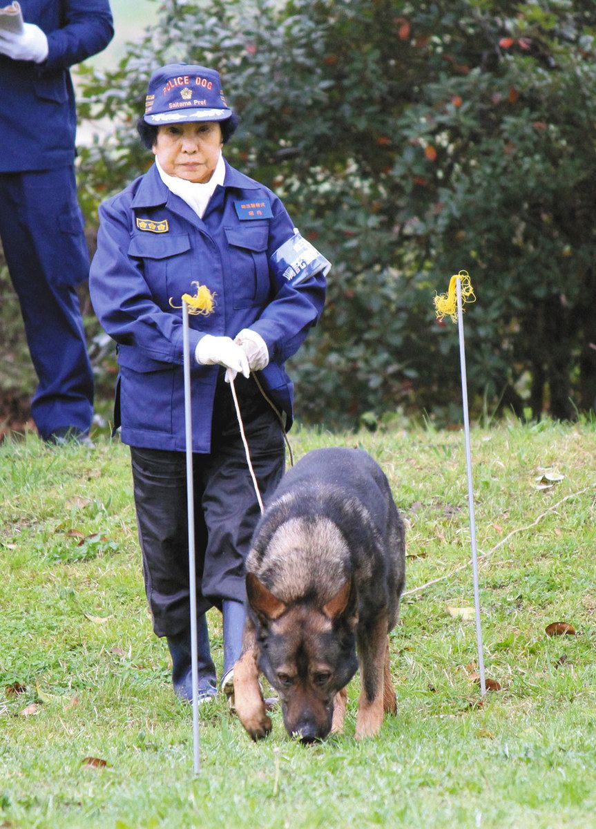 嘱託警察犬指導士55年 「張り切りボーイ」なシェパードと名コンビ 県警審査会に最高齢87歳・堀内さん：東京新聞デジタル