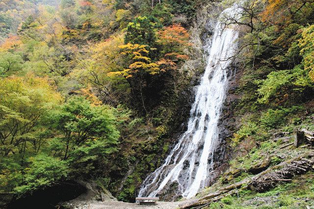 秩父点描 丸神の滝一帯 秋色に 今週末見頃 東京新聞 Tokyo Web