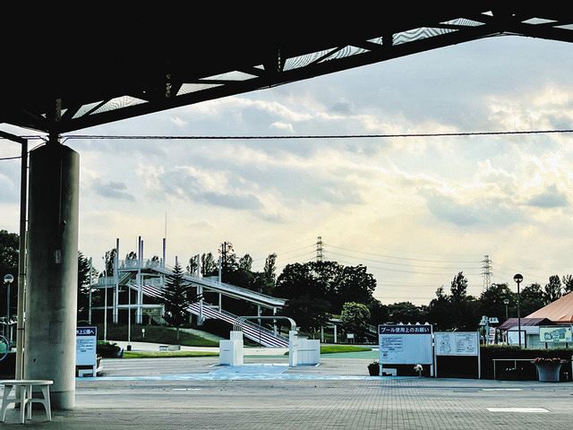 女子小学生 公園盗撮 