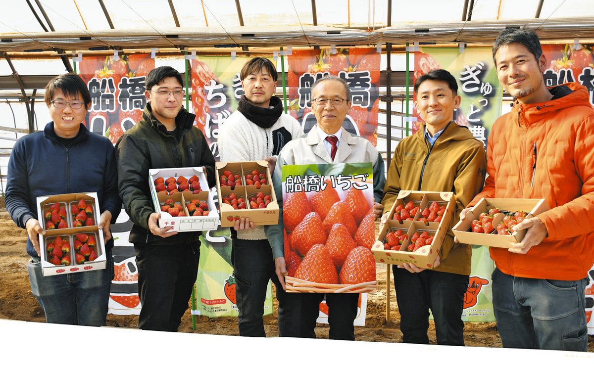 船橋のイチゴ「完熟楽しんで」 若手生産者5人が市長にPR：東京新聞デジタル