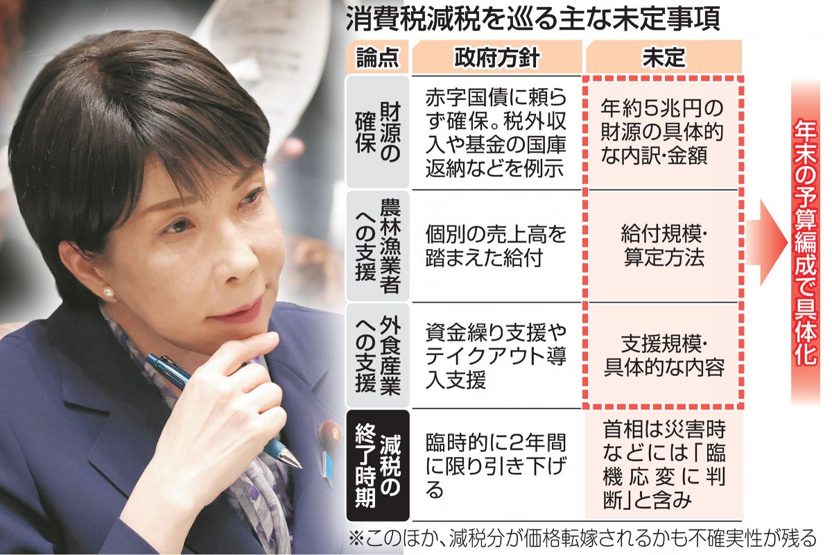 消費税減税「自分にどんな影響あるのか分からない」まま、国会審議へ