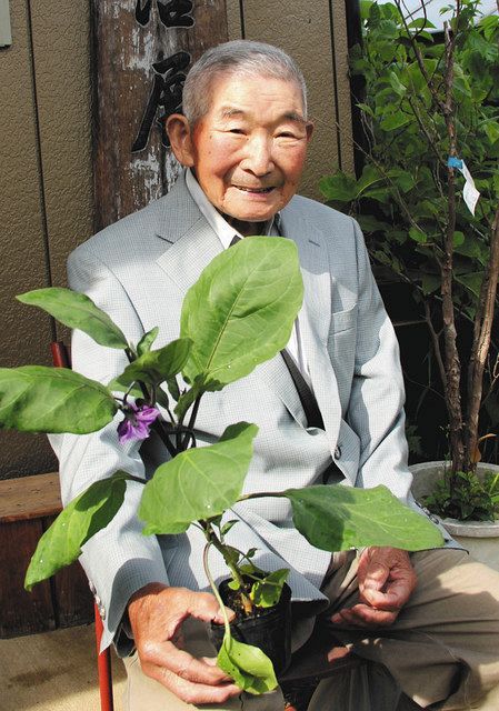 小学校の授業向けに野菜苗を栽培している高橋孝次さん。今年はコロナ禍で苗の行き場を失った＝多摩区で 