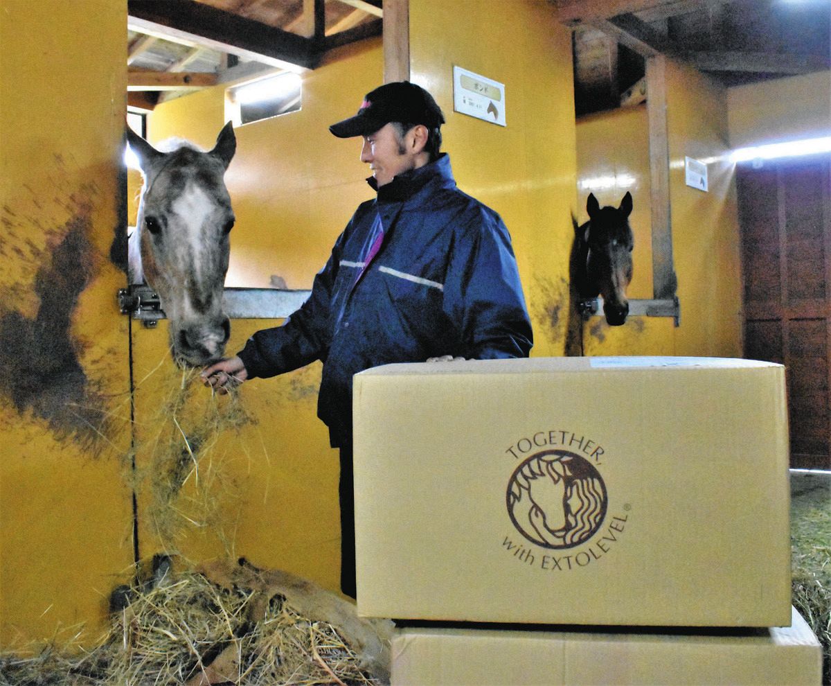 馬の力で珠洲を立て直す」 馬と縁深い土地柄、地元乗馬クラブ代表の決意 干し草1㌧広がる支援：東京新聞デジタル