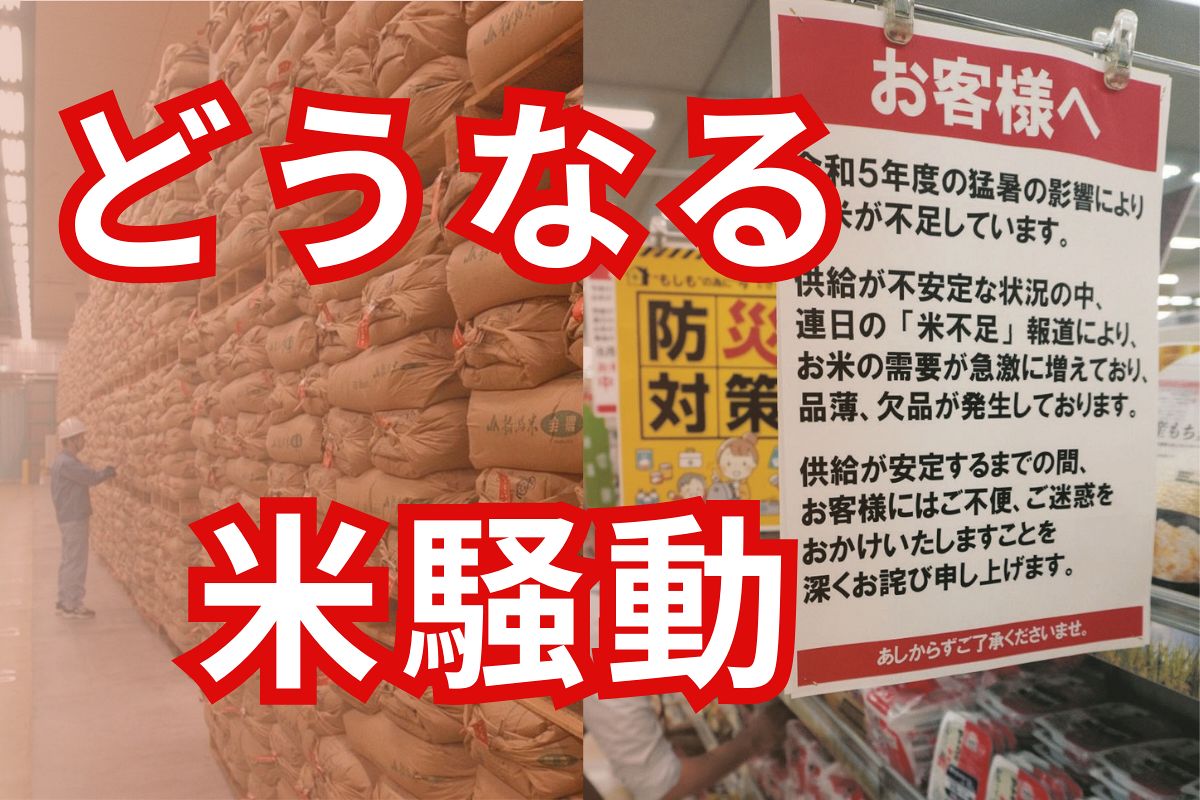 新米が届いても高値は続く？　専門家が指摘する「コメの先食い」、そもそも農政の在り方に問題が：東京新聞 TOKYO Web