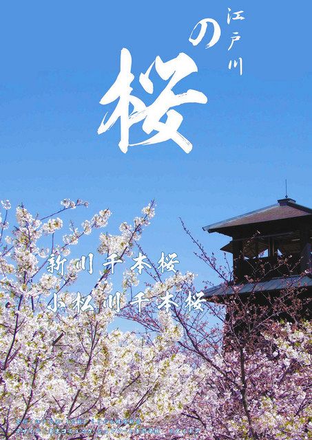 新川千本桜、小松川千本桜のポスター＝いずれも江戸川区提供