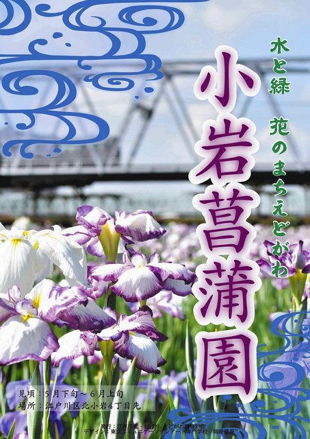 小岩菖蒲園のハナショウブのポスター