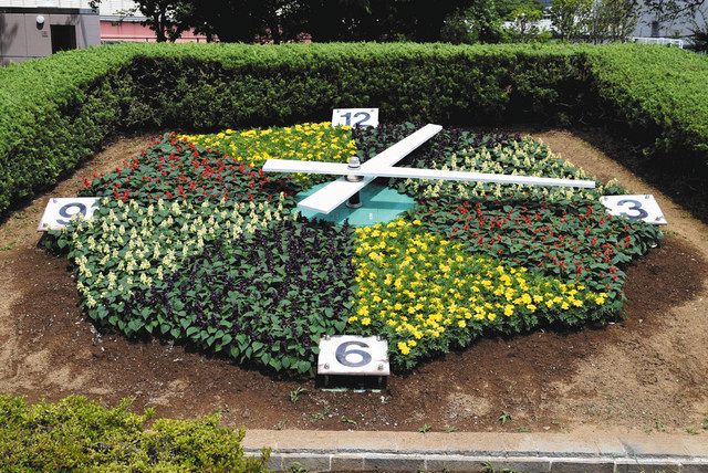 ビーチパラソルの花時計 小菅水再生センターにお目見え：東京新聞