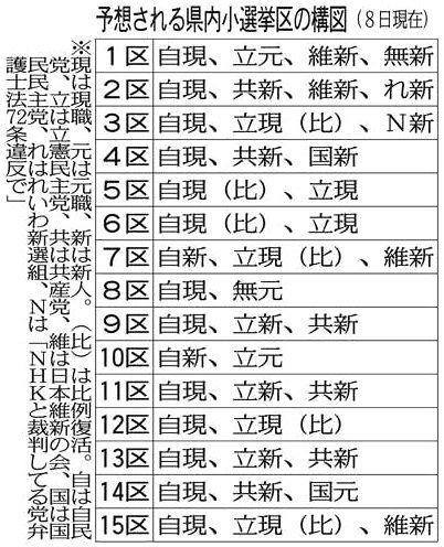 埼玉県 小選挙区42人出馬意向 続く野党調整 戦いの構図定まらず 東京新聞 Tokyo Web