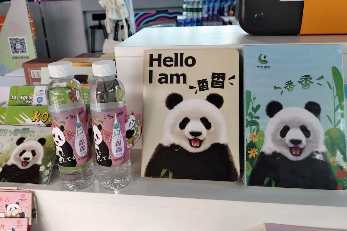 どんな暮らしが「2頭のパンダ」を待っている？ 先に中国へ返還された