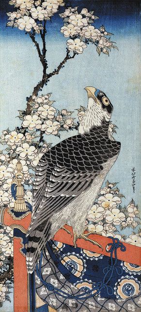 日本画 鷹の絵 赤紫色額装済み 佐藤晋伍 「 金運大昇鯉 」 日本画 色紙絵 ( 木製額縁付き