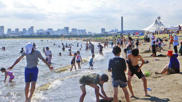 葛西海浜公園西なぎさ 17日に海開き 東京新聞 Tokyo Web