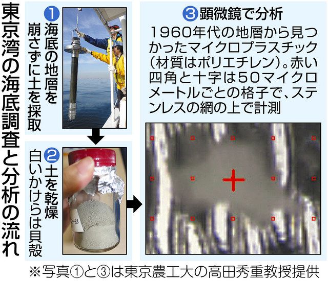 東京湾の海底にプラごみの山 1964年東京五輪頃から堆積 魚介類や人への影響懸念 東京新聞 Tokyo Web