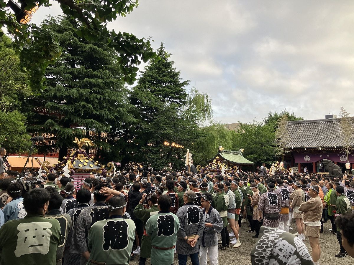 三社祭を写真と動画で 4年ぶりの本格開催 街には声が響き、熱気に包