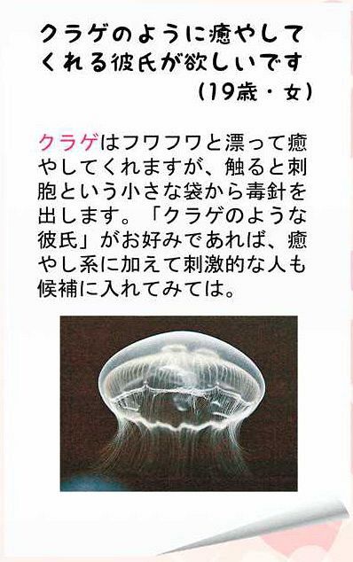 もうすぐバレンタイン 水の生き物に 恋愛相談 すみだ水族館 東京新聞 Tokyo Web
