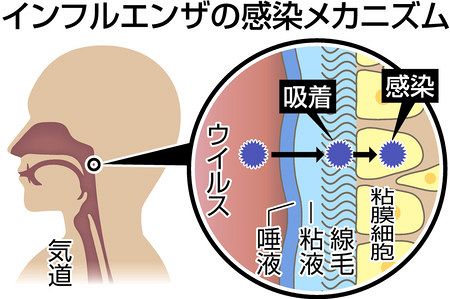 ワクチン 手洗い マスクに加え のど潤しインフル対策 東京新聞 Tokyo Web