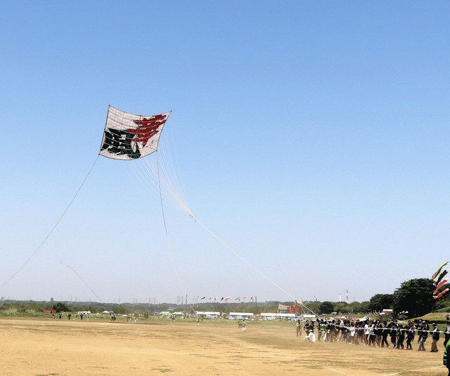 座間市大凧まつり 「コロナ吹き飛ばす風」 100畳サイズ舞い上がる