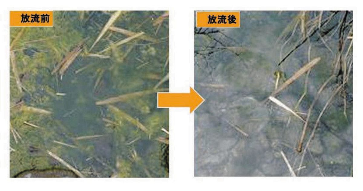 中津川の環境守る放流実施へ 15日・宮ケ瀬ダム 「河川に近づかないで