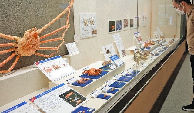 1100万年前の化石紹介 栃木県内で07年発見のフジツボ 県立博物館で企画展：東京新聞 TOKYO Web