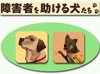 障害者を助ける犬たち No 498 東京新聞 Tokyo Web