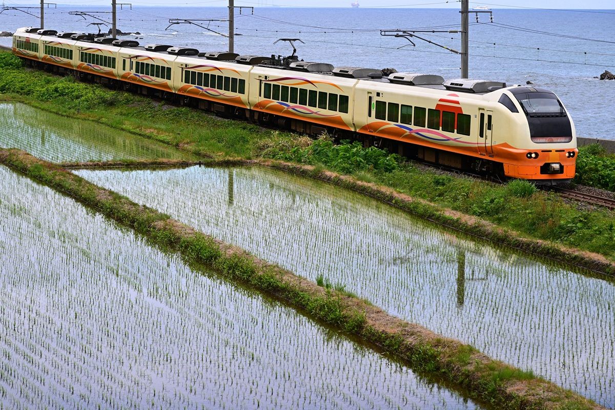 JR東日本が乗客平均2000人を下回る36路線71区間を公表 2024年度、赤字は合計790億円で前年度比33億円悪化：東京新聞デジタル