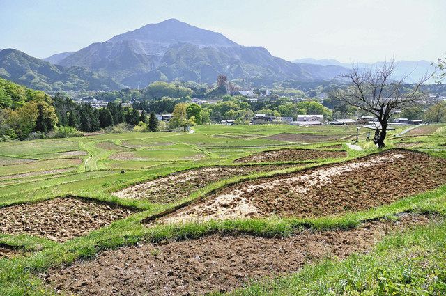 ゆったり秩父ハイク 歴史と文化、郷愁の山里 芝桜アート、棚田…四季