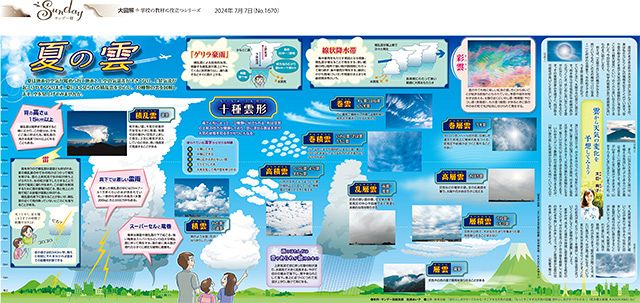 大図解＞夏の雲（No.1670）：東京新聞デジタル