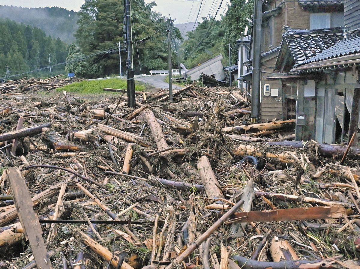 河川の氾濫で押し寄せた大量の流木