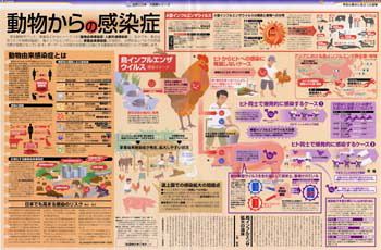 動物からの感染症 (No.622)：東京新聞 TOKYO Web