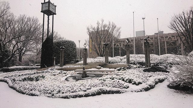 雪が降り積もる県庁の花時計