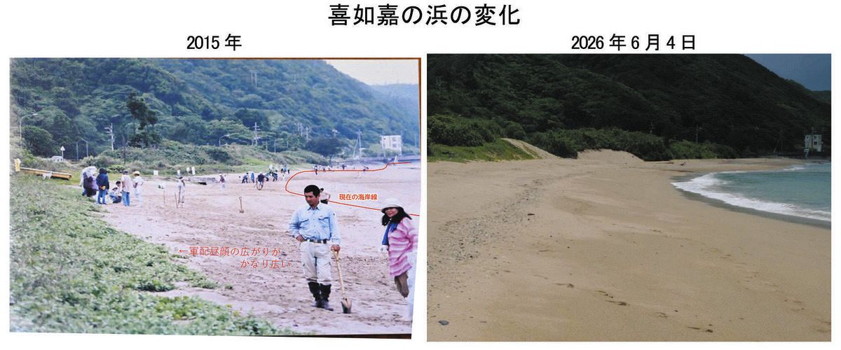３０年前に南城市海岸にて拾ったかいがらたち 30年前に南城市海岸にて拾ったかいがらたち