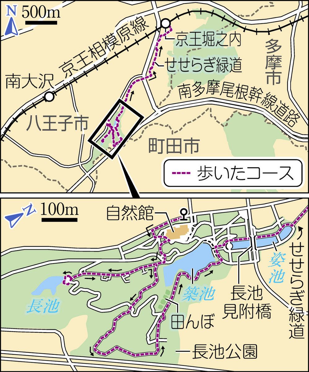 水紀行 首都圏を巡る＞（13）長池公園（東京都八王子市） 自然豊かな